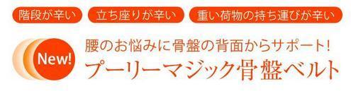 骨盤ベルト２.JPG