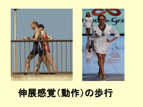からだにやさしい歩き方.gif