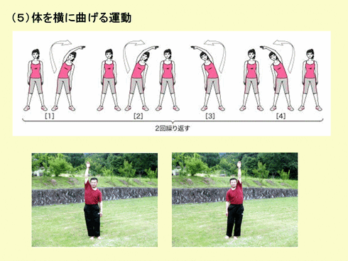 本当はすごいラジオ体操.gif